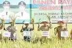 Produksi-padi-di-Lamongan-masih-yang-tertinggi-di-Jawa-Timur-Selasa-872025.jpg