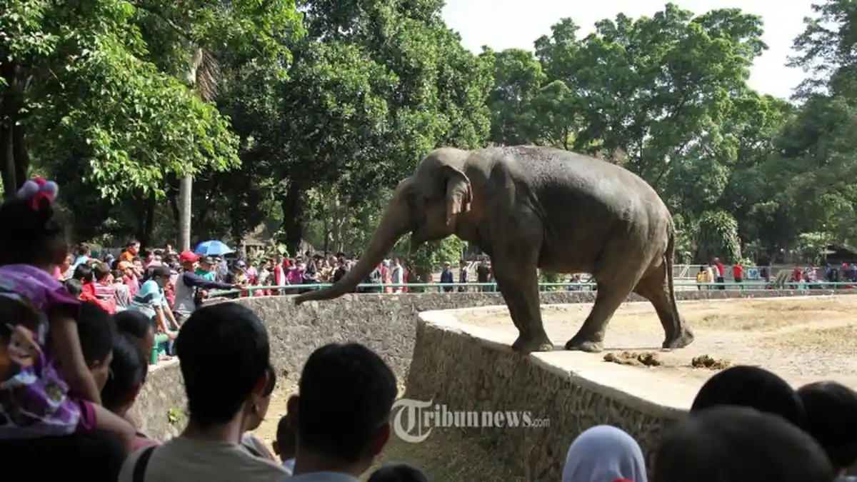 Taman Satwa Tertua di Indonesia Ini Ternyata Memiliki Berbagai Koleksi