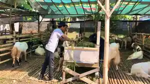Lapak-pedagang-hewan-kurban-di-Jalan-Sultan-Agung-Kota-Batu-sepi-pembeli.jpg