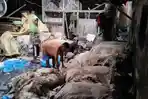 Gudang Kulit di Tasikmalaya Laris Tiap Idul Adha, Warga Jual Sampai Rp 50.000 Per Kilogram
