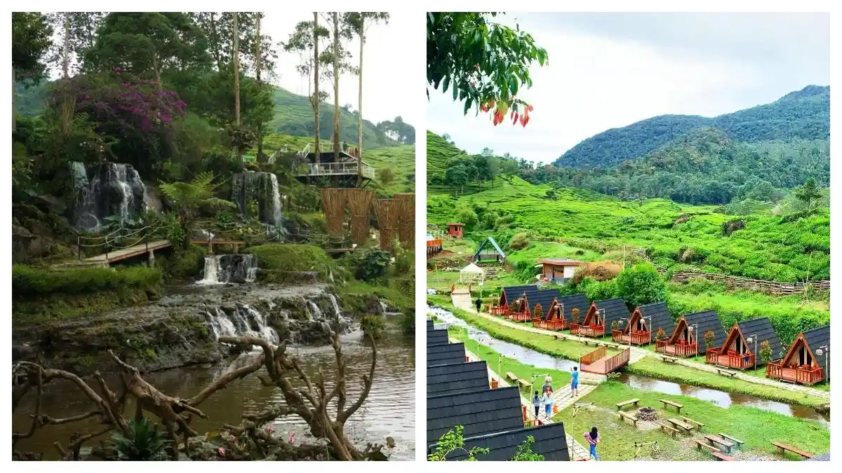 Dari Bandung Jabar Cuma 58 Menit, Ada 3 Air Terjun, Kebun Teh, Glamping, dan Alam Pegunungan