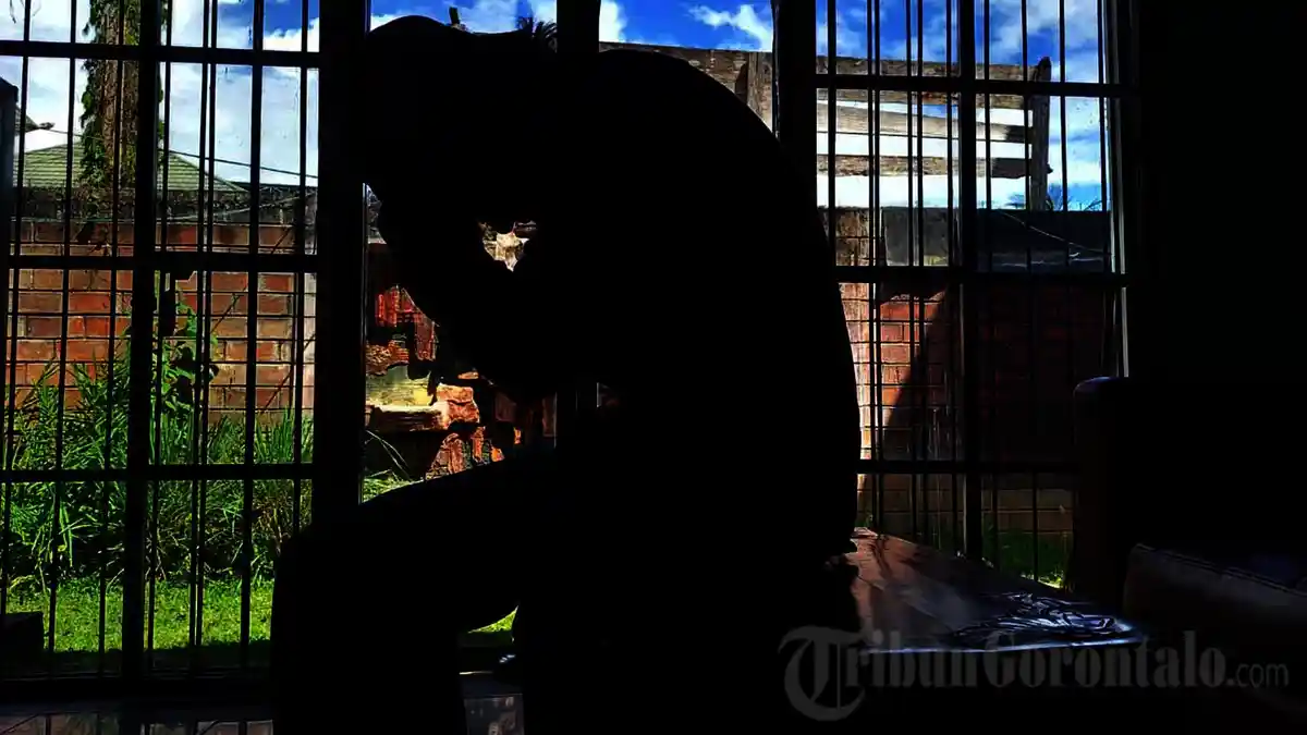 Alarm Serius! Anak Muda Jadi Penyumbang Terbesar Pengangguran di Gorontalo, Ini Fakta Mengejutkannya