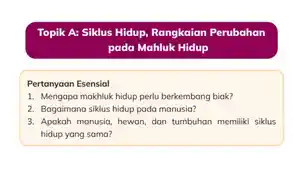 IPAS-Kelas-3-Halaman-28-yy.jpg