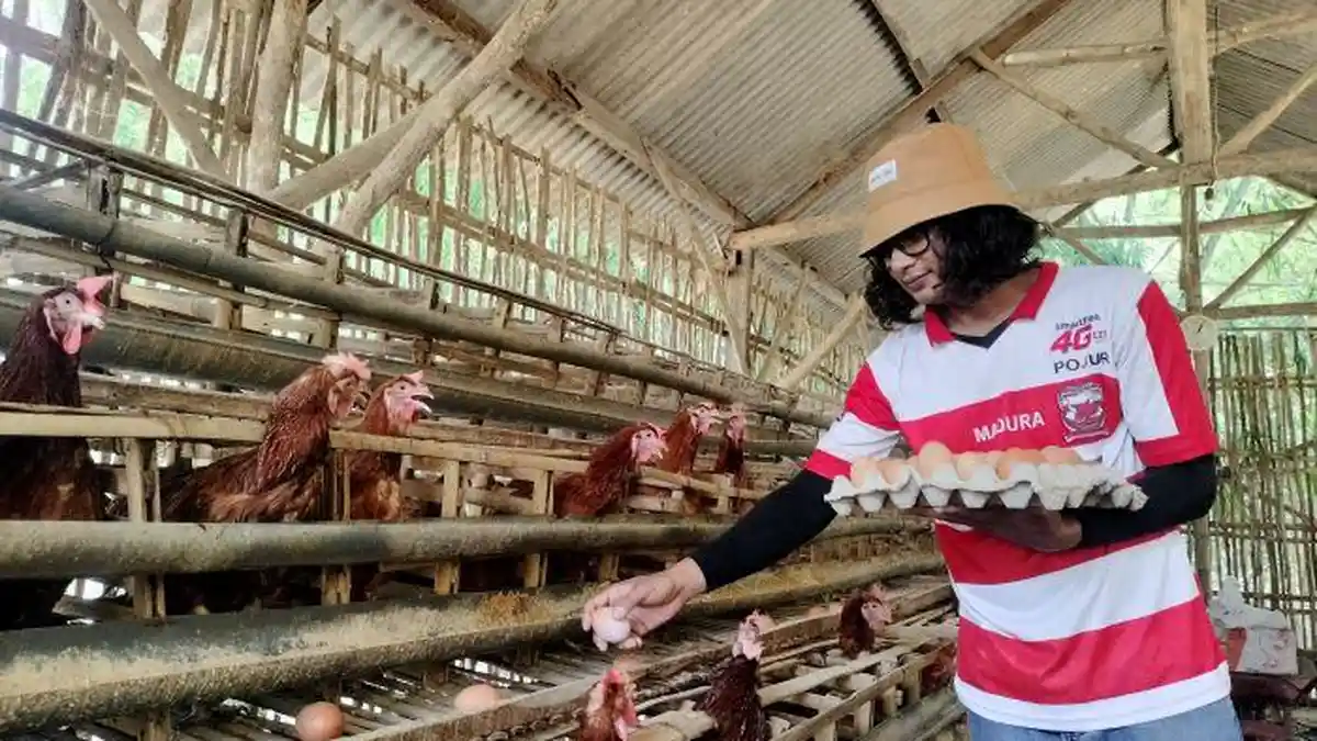 Sosok Muez Dijuluki Raja Telur Pamekasan, Raup Ratusan Juta dari ...