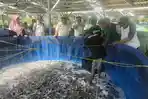 kdmp-nogosari-jember-panen-ikan.jpg