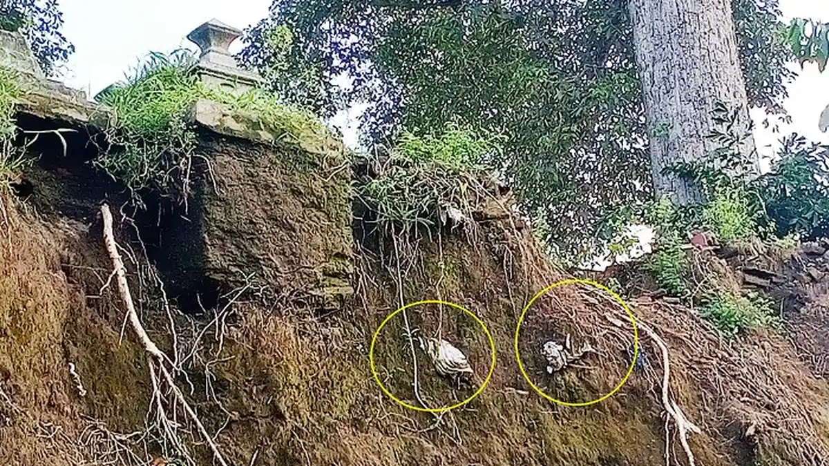 5 Fakta Makam Klodran : Jenazah Hanyut ke Kali Pepe, Ada yang Terlihat Bikin Merinding Pemancing