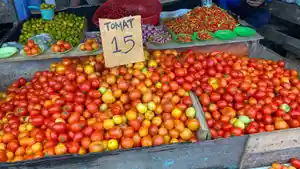 tomat-turun-di-ambon.jpg