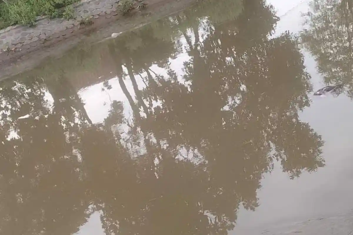 Mayat Wanita Ditemukan Mengambang di Sungai Desa Pacar Peluk Jombang, Identitas Belum Diketahui