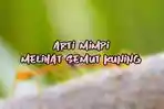 Arti-Mimpi-Melihat-Semut-Kuning.jpg