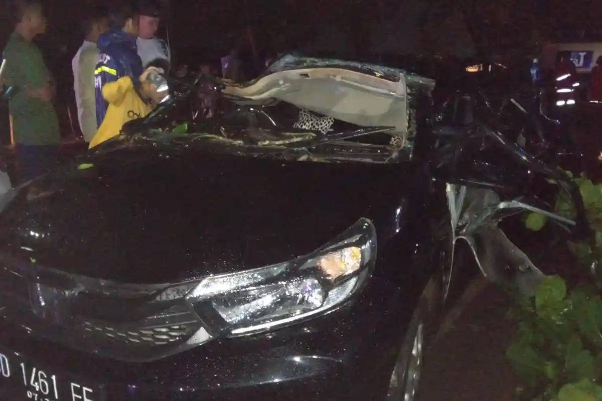 Kronologi Pohon Timpa Mobil di Danau Dendam Bengkulu, Saksi Mata: di Dalam Mobil Perempuan Semua