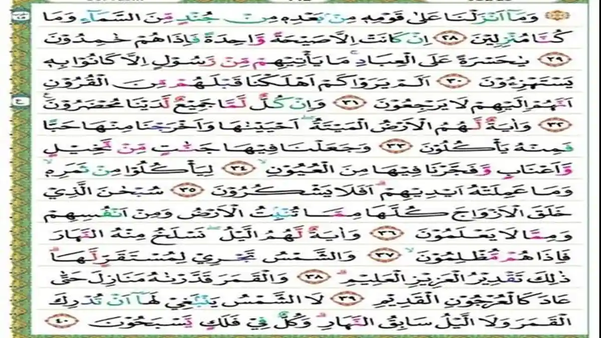 Bacaan Surat Yasin 83 Ayat Latin dan Terjemahan Indonesia, Dibaca Lewat HP