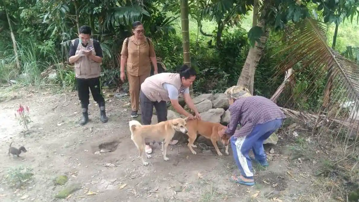 Soal Rabies, Ada 372 Kasus Gigitan Anjing di Simalungun, Pemkab Bergantung Vaksin dari Pemprov