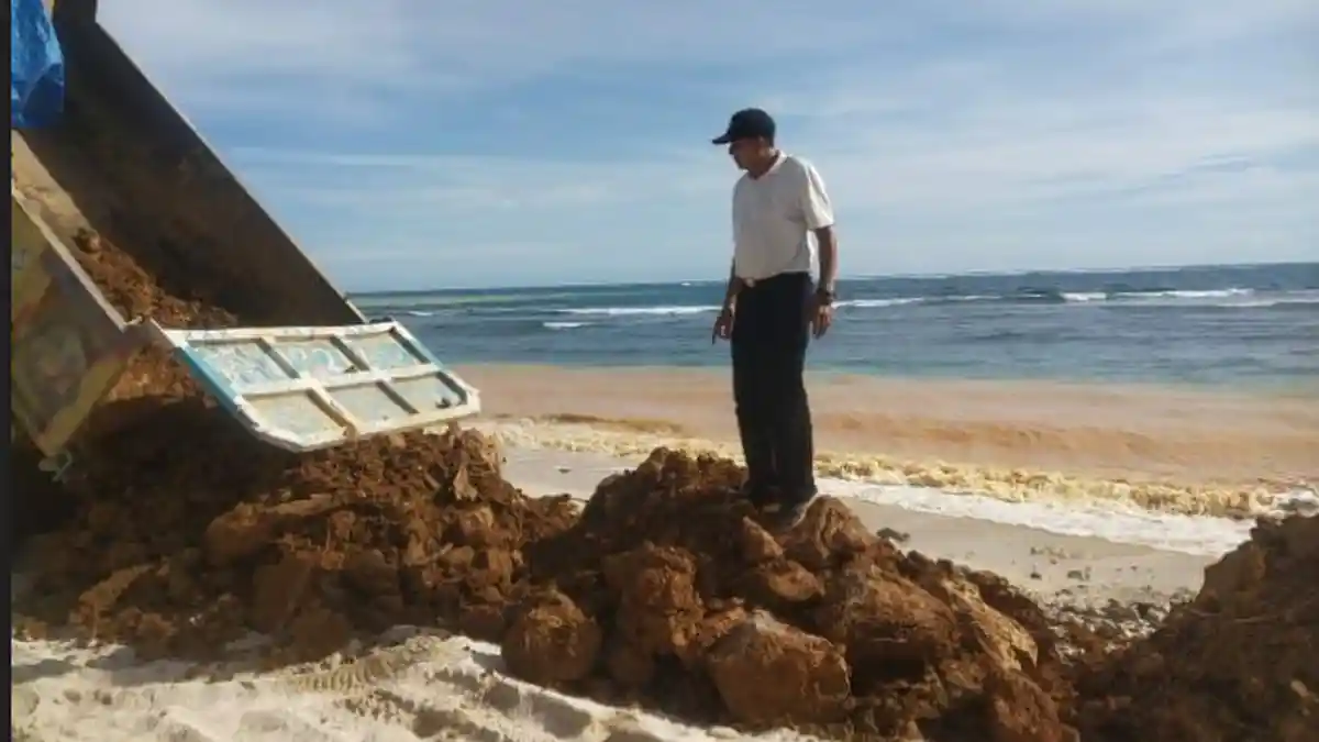 Abrasi Pantai Labuhanhaji Kian Mengganas, Pemkab Aceh Selatan Tangani Secara Darurat
