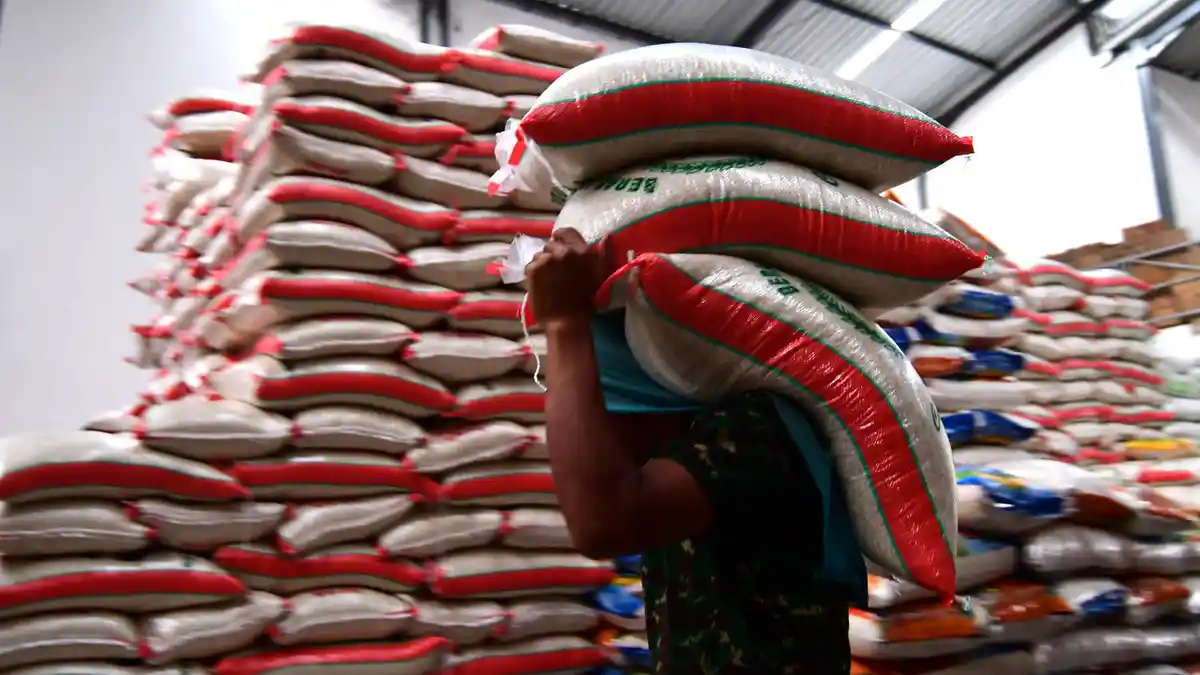 Harga Beras Mulai Naik, Termahal di Sumatera Barat, Harga Beras Medium Dibanderol Rp 14.083 Per Kg