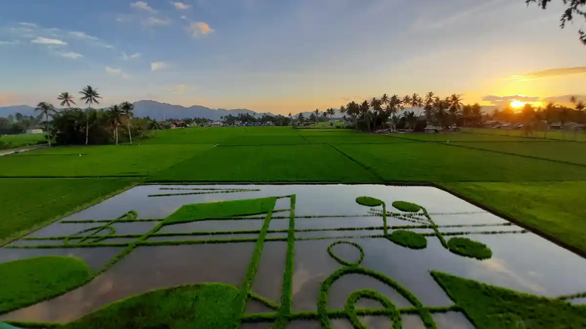 Bank SulutGo Salurkan Rp 10 M KUR untuk Petani Pohuwato-Gorontalo