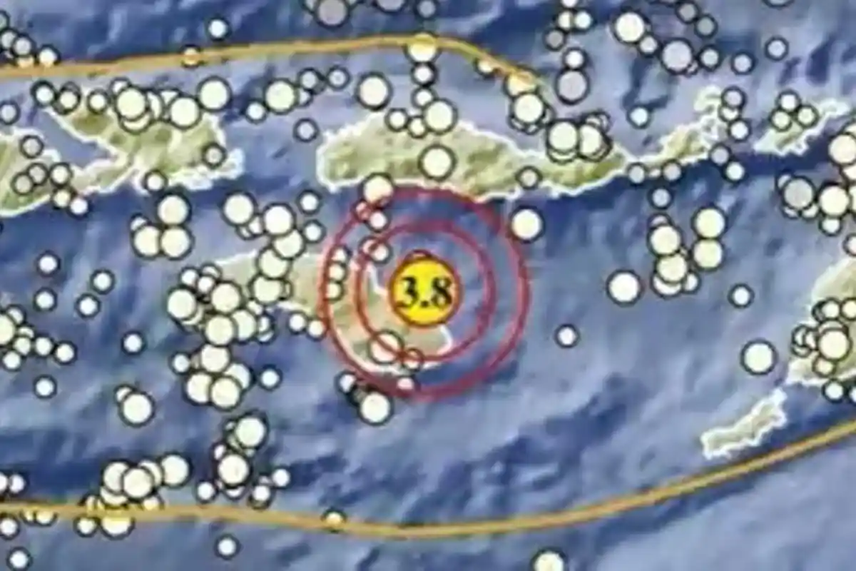 Gempa Bumi Terkini Sabtu 4 Januari 2025, Info BMKG Baru Saja Terjadi di Laut