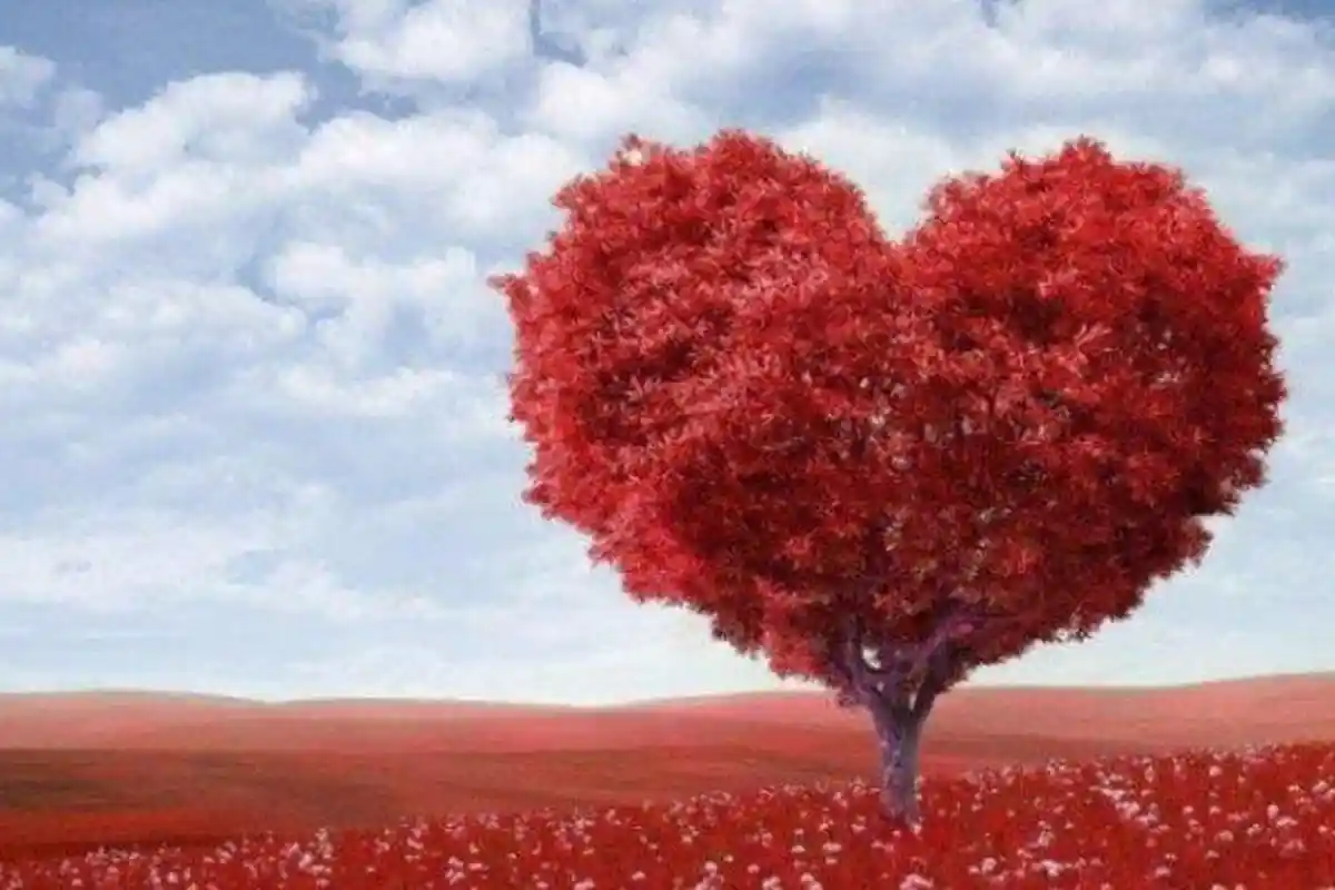 10 Tanda Orang Suka Padamu 'Mengingat Hal-hal Kecil yang Kamu Ucapkan'