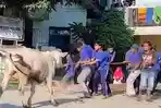 Beginilah-Kalau-Sapi-Kurban-Ngamuk-Warga-Kena-Seruduk-Masuk-Masjid-Pun-Tak-Terhindar.jpg