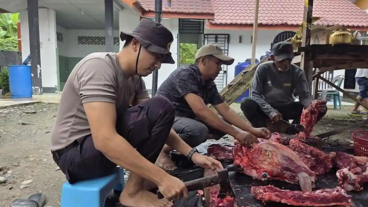 Mahasiswa PTIK Salurkan Bantuan Meugang dan Kemanusiaan di Bireuen