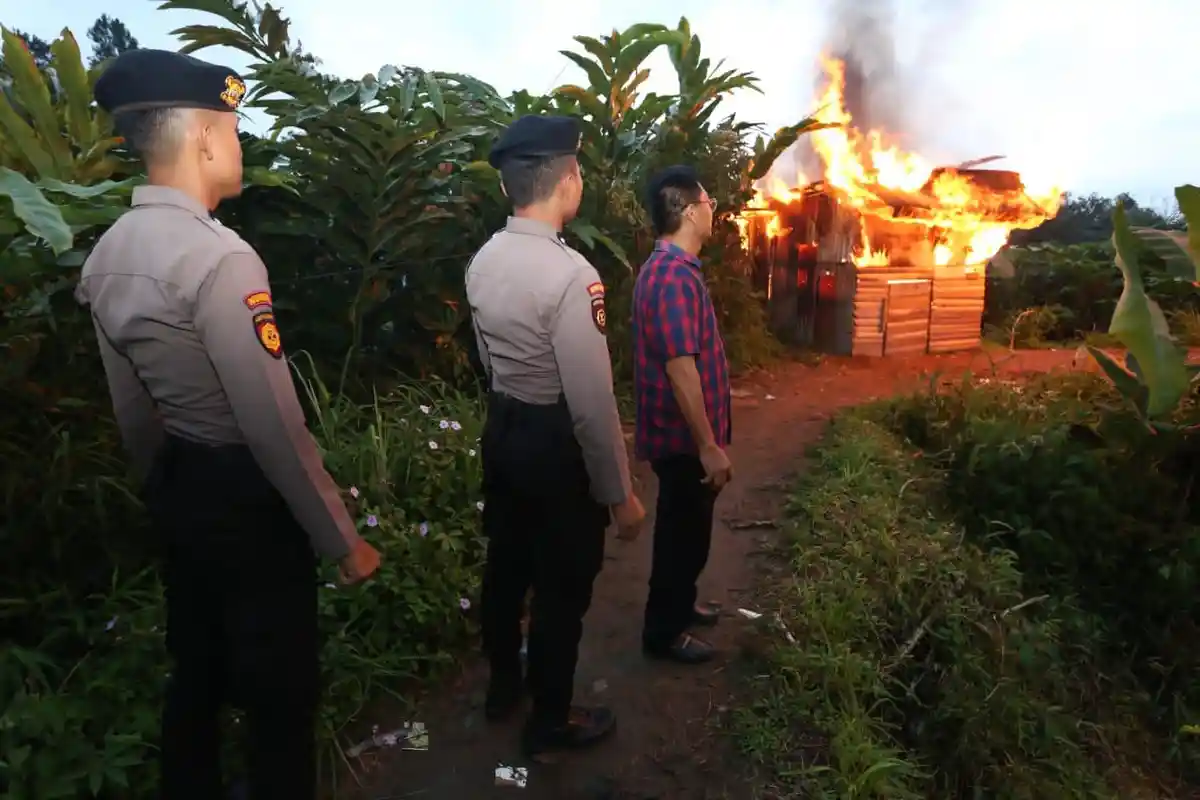 Sarang Narkoba di Sibolangit Dibakar Polisi, Belasan Orang dan 2 Pengedar Turut Diangkut Petugas
