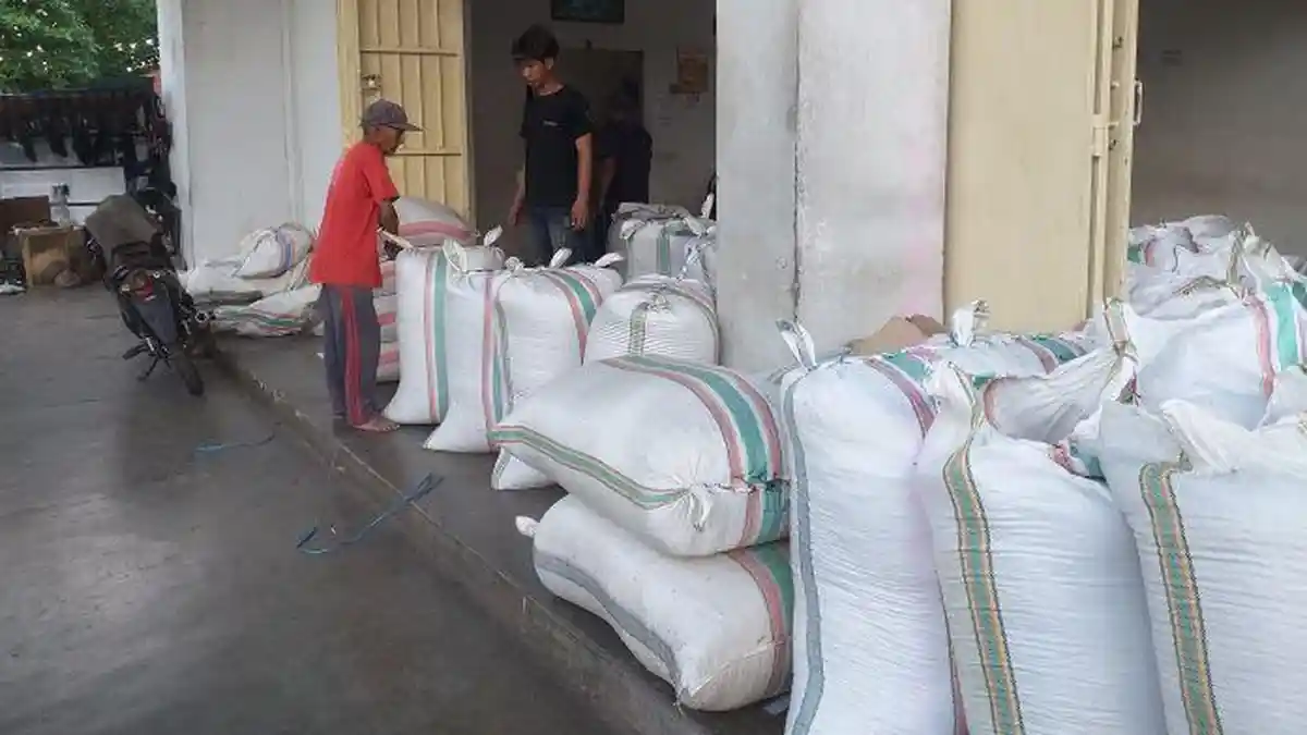 Harga Terkini Cengkih di Kotamobagu Naik Lagi, Petani Harap Tetap Bertahan