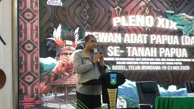 pleno-dap-di-TW.jpg