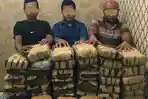 tiga-orang-pelaku-penjual-ganja-kering-sebanyak-80-kg-ditangkap.jpg