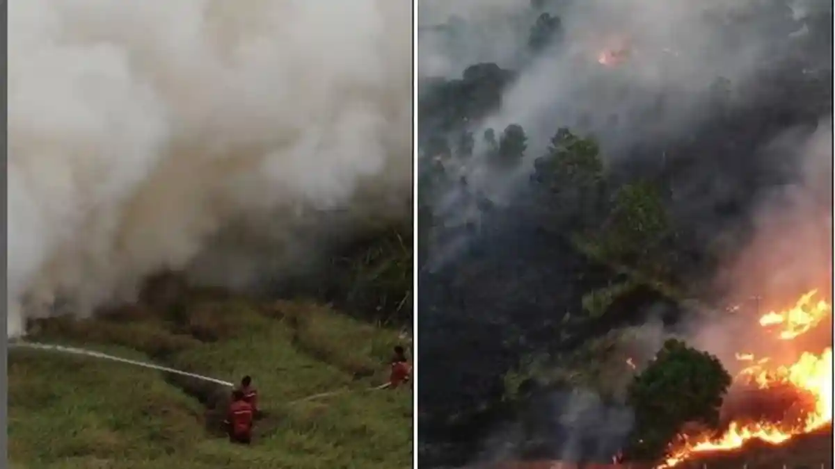 1.008 Hektare Hutan dan Lahan di Ogan Ilir Sumsel Terbakar, 99 Persen Sengaja Dibakar, 1 Persen Alam