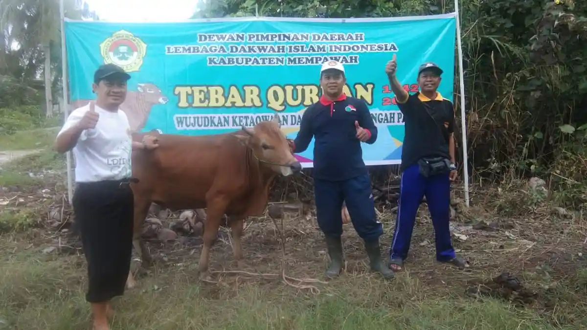 Tebar Hewan Kurban, LDII Kalbar Kucurkan Dana Rp 3,7 Miliar
