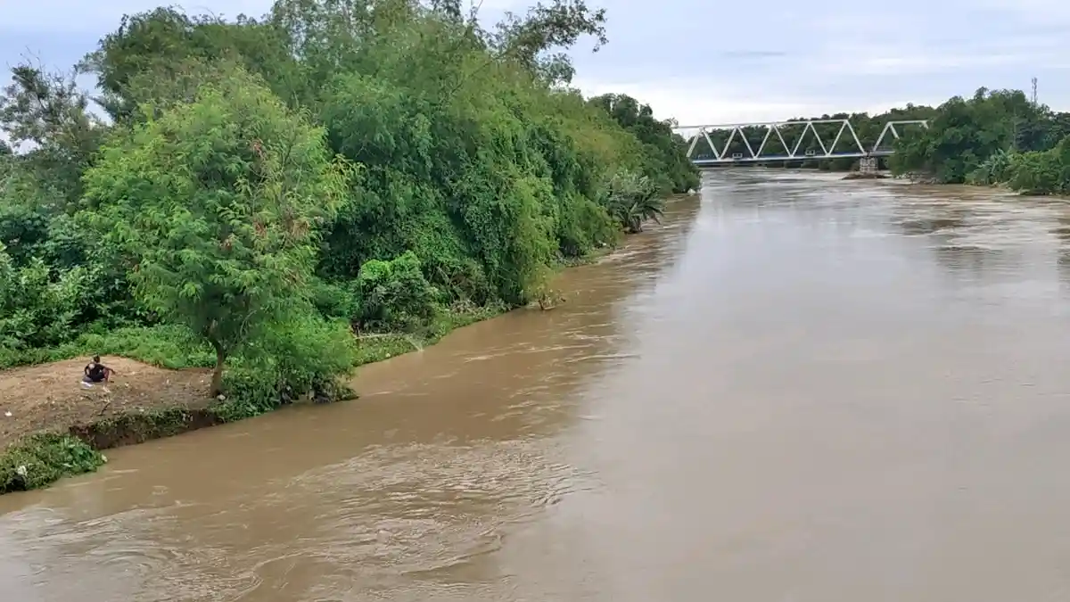 Bengawan Solo Tercemar Limbah Pabrik, Ini Daftar Wilayah Sungai yang Tercemar