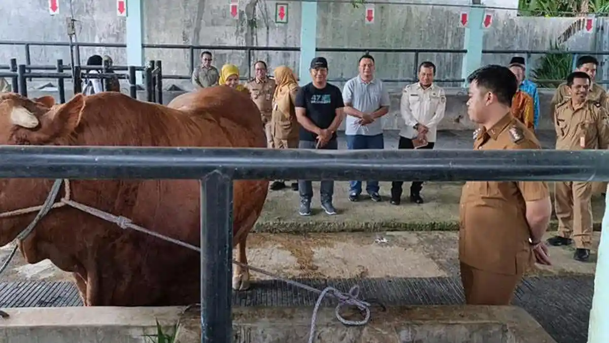 Sapi Kurban Bantuan untuk Warga Kota Blitar Dibeli Prabowo Rp100 Juta dari Peternak Kediri