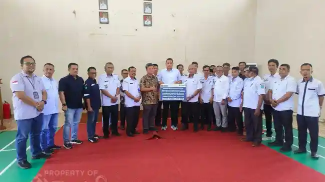 Tribun