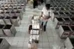 Persiapan Logistik Pilkada