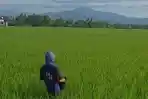 Petani-di-Desa-Tanra-Tuo-Kecamatan-Cempa.jpg