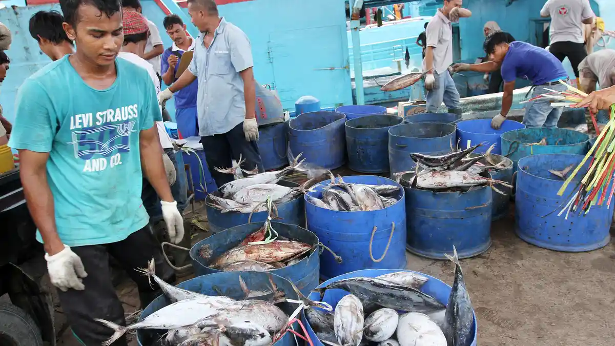 KKP dan DPR Ajak Masyarakat Wonogiri Manfaatkan Protein Ikan untuk Cegah Stunting