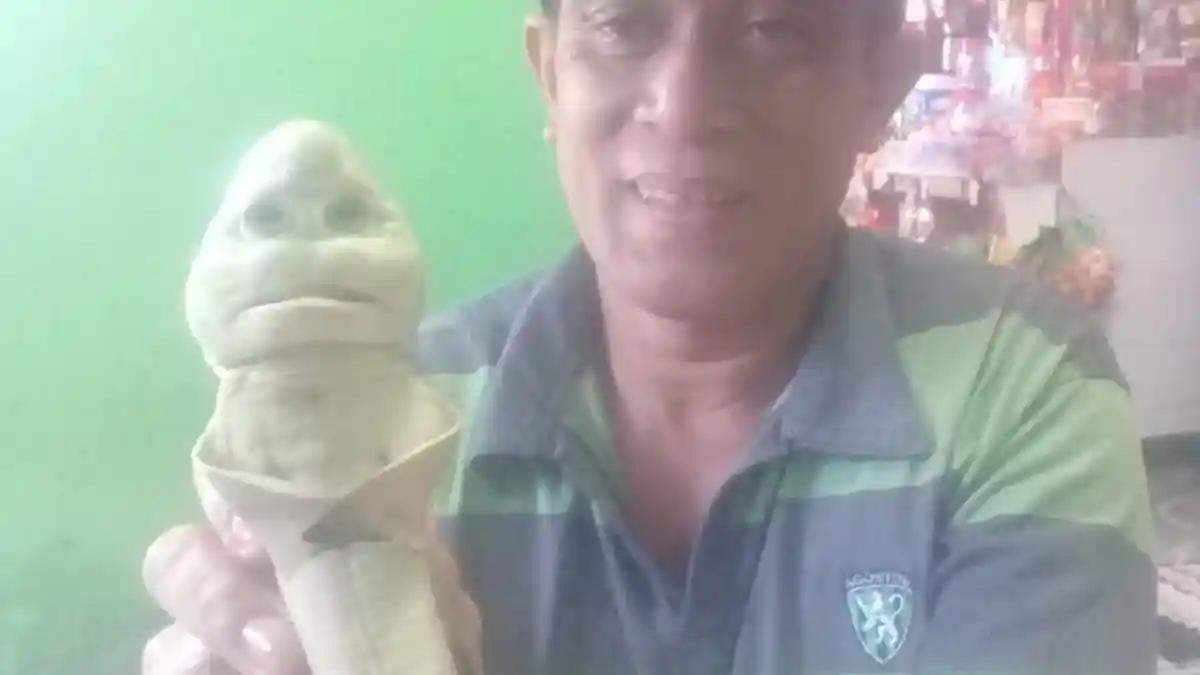 HEBOH -  Di NTT Nelayan Rote Ndao Temukan Ikan Mirip Manusia, Info NTT TERKINI