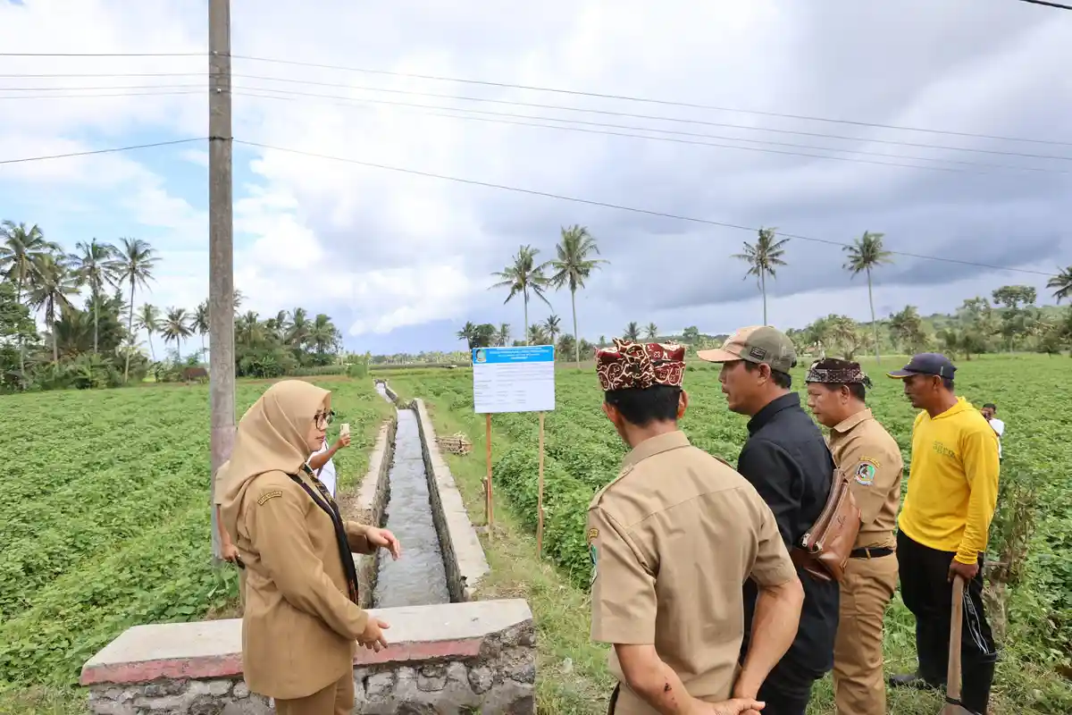 Banyuwangi Bangun dan Revitalisasi 123 Km Jaringan Irigasi dengan Skema Padat Karya
