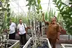 Wali-Kota-Batu-memberikan-bunga-anggrek-bernama-Dendrobium-Prabowo-Subianto.jpg