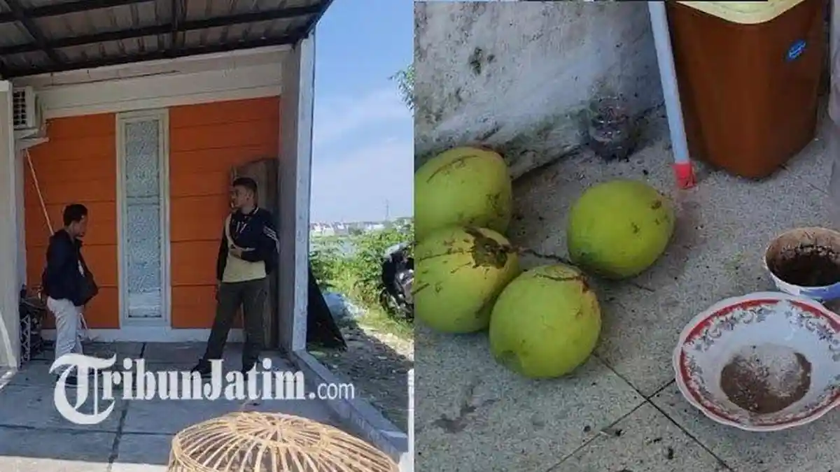 Dukun Pengganda Uang Ditangkap di Gresik: Pelaku Gunakan Uang Mainan, Kantong Darah dan Jenglot