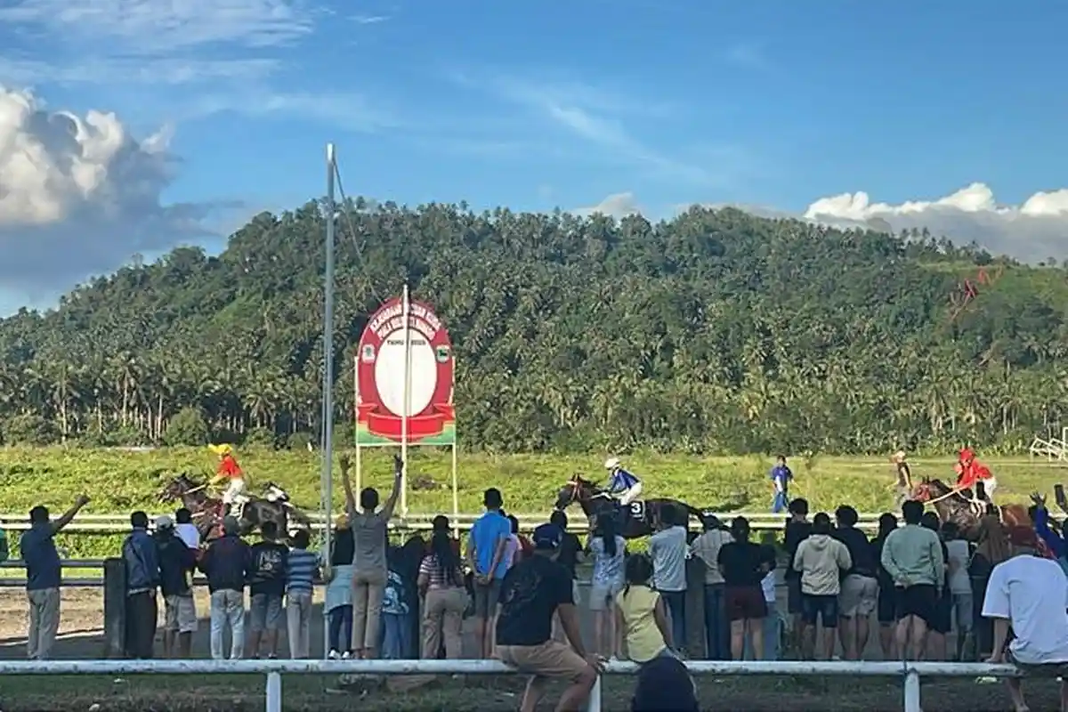  Semarak HUT ke-80 RI, Pemkab Minut Gelar Kejuaraan Berkuda dan Roda Sapi, Ini Tanggal dan Lokasinya