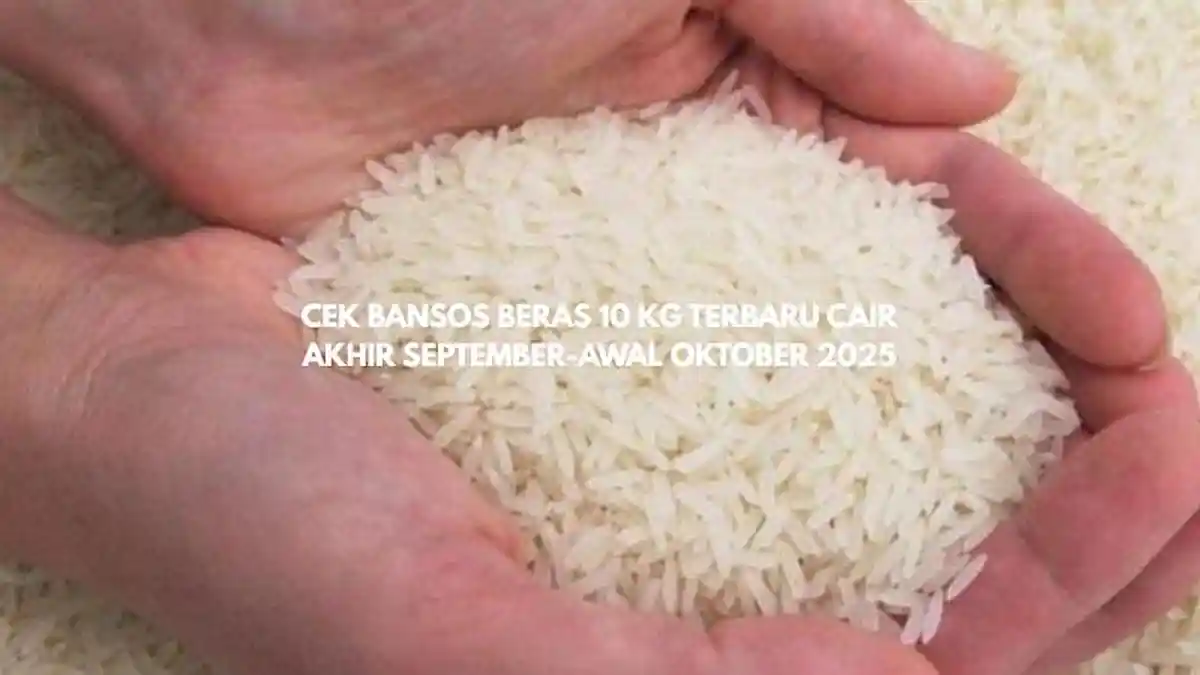 Cek Bansos Beras 10 Kg Terbaru Cair Akhir September-Awal Oktober 2025!