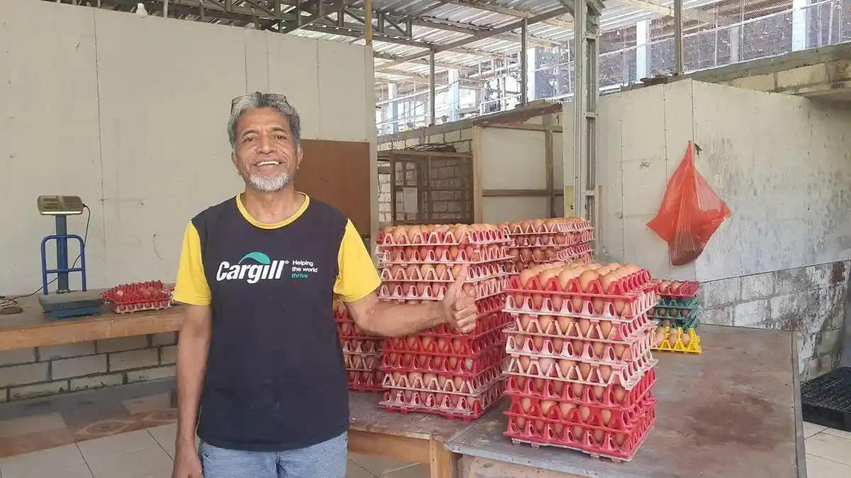 Strategi Peternak Gunungkidul Bertahan di Tengah Merosotnya Harga Telur, Pilih Jual Ayam Produktif - Tribunjogja.com