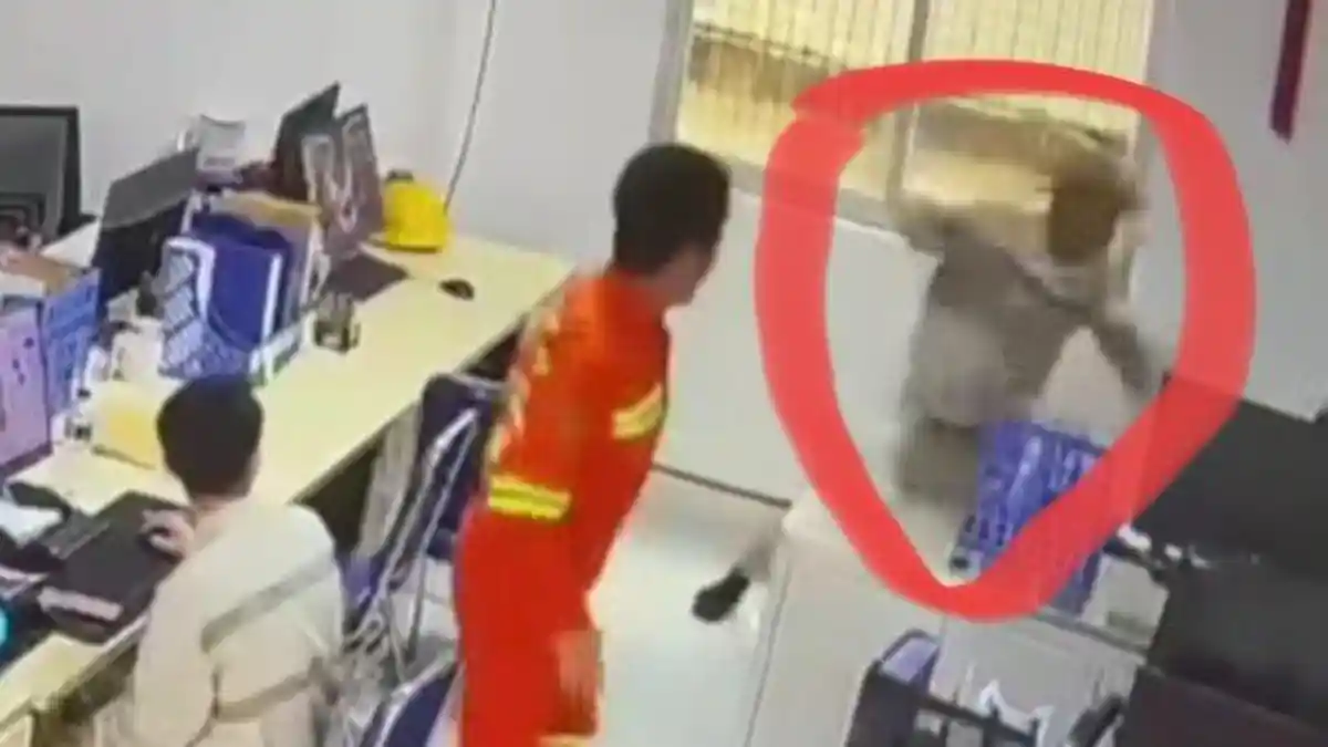 Viral Karyawan Mengamuk Tikam 2 Pimpinan Perusahaan, Tak Terima Dapat SP3