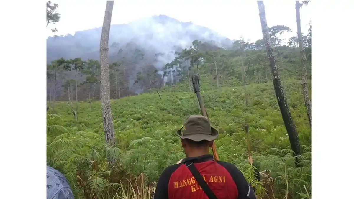 Kebakaran Hutan Gunung Sipiso-piso, Luas Lahan Terdampak 10 Hektare