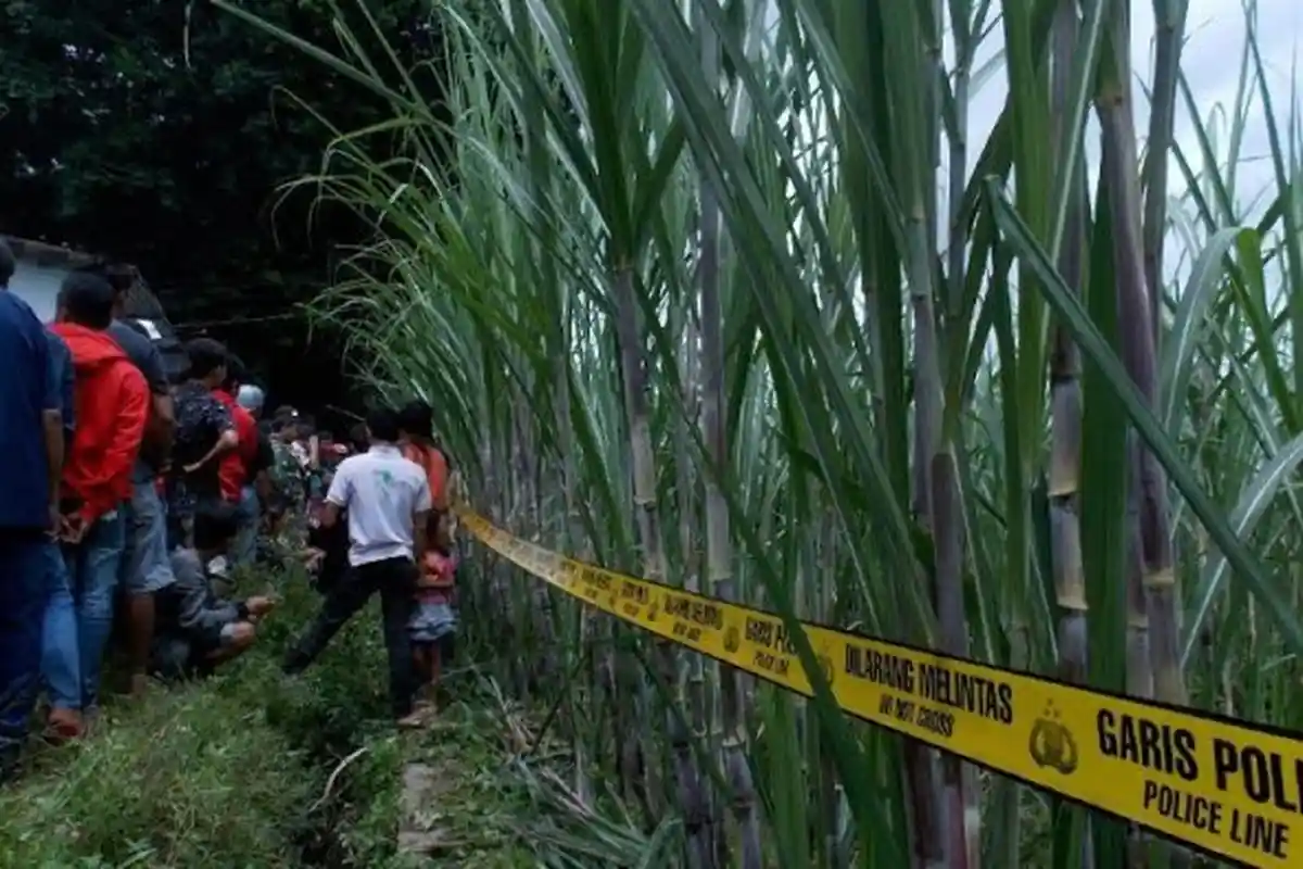 Pemandu Lagu Ditemukan Tewas Telanjang di Semak-semak, Keluarga Tahu Dari Facebook