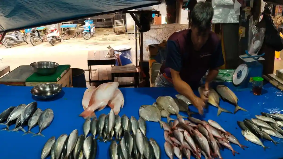 Pemkot Samarinda Bangun Cold Storage 120 Ton di Harapan Baru, Target Beroperasi Akhir 2025