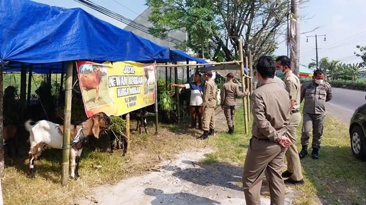 Satpol PP Karanganyar Imbau Pedagang Tak Jualan Hewan Kurban di Tepi Jalan