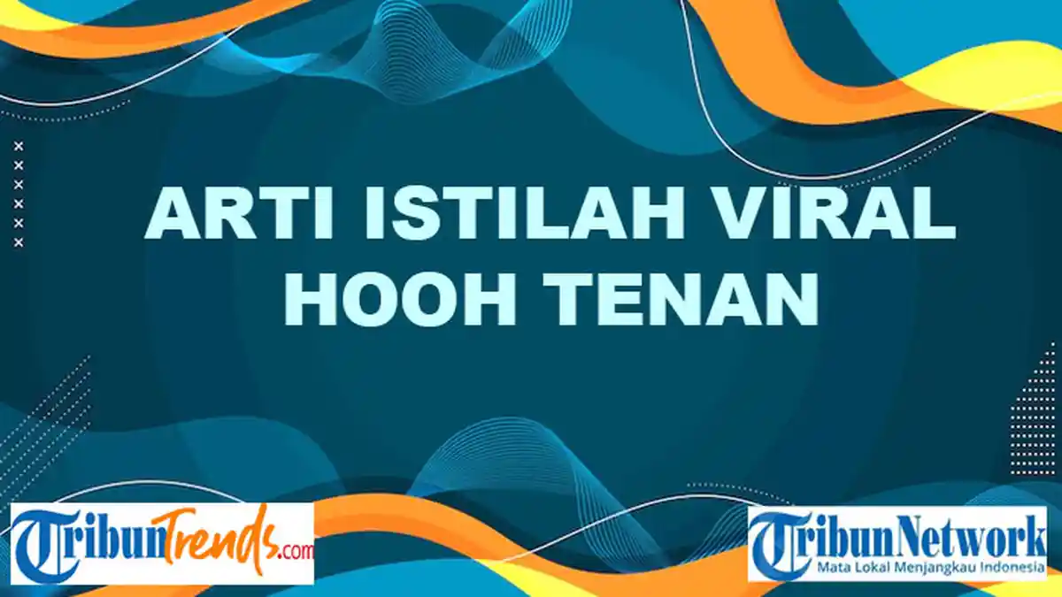 Apa Arti Hooh Tenan, Istilah Viral di TikTok? Kosa Kata Populer, Sering ...