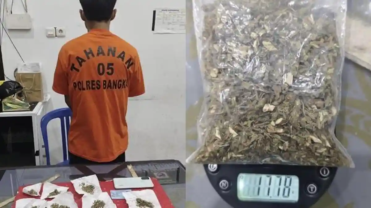 Pemuda Tepergok Simpan 17,78 Gram Ganja Kering 