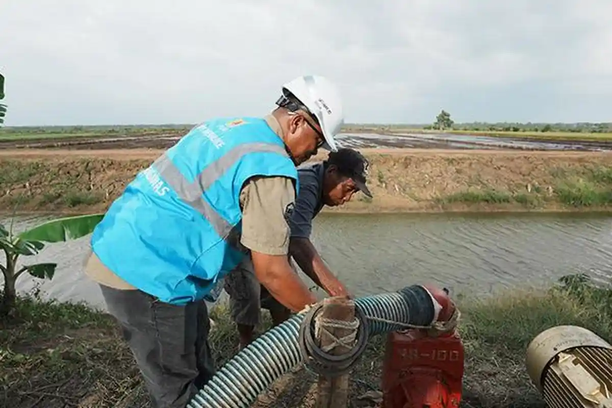 Dukung Tranformasi Pertanian Modern, EA PLN Raih 53.539 Pelanggan Baru di Tahun 2024